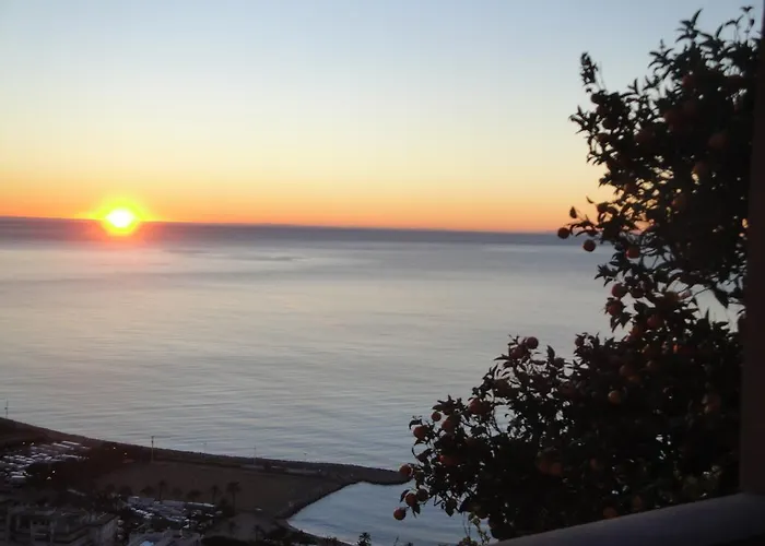 فيلة Les Citronniers D'azur *