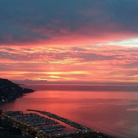 Les Citronniers D'azur