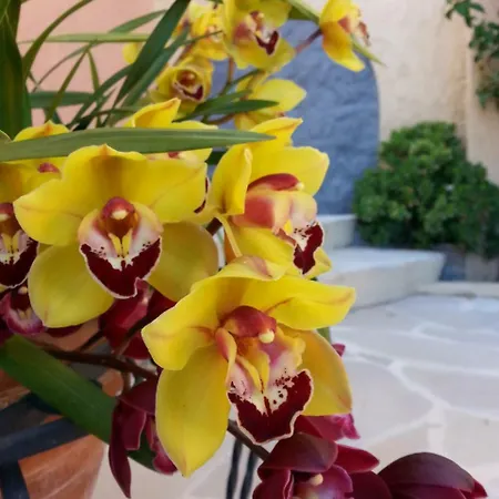 Les Citronniers D'azur Villa *