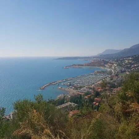 Les Citronniers D'azur