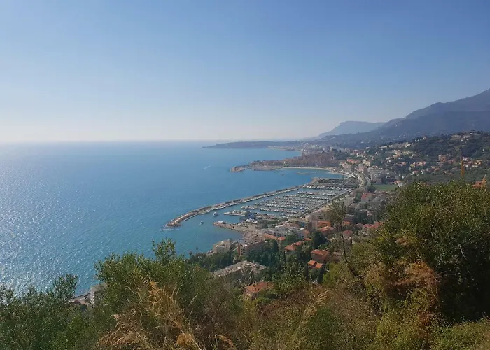 Les Citronniers D'azur